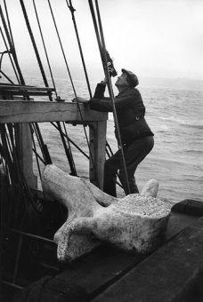 John Huston, Director, Moby Dick, 1956