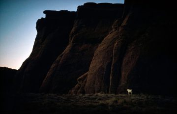 White Horse, Arizona 1960